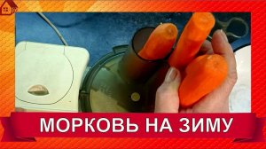 СУПЕР СПОСОБ ХРАНЕНИЯ МОРКОВИ! СВЕЖАЯ МОРКОВЬ ВСЮ ЗИМУ! БЕЗ ПОГРЕБА! КАК СОХРАНИТЬ?