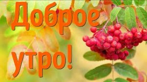 Доброе Утро! Просыпайся!