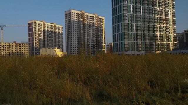 Балтийская Жемчужина [2020]