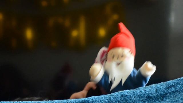 The Wonderful Adventures of Mr. Elf: Crazy Animal Encounters