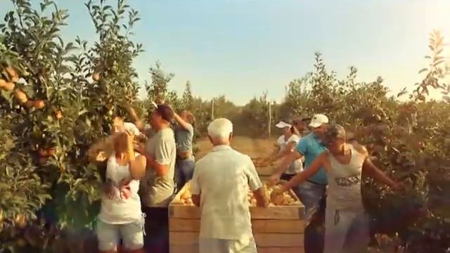Ролик «Центр Занятости»