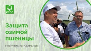 Защита посевов озимой пшеницы