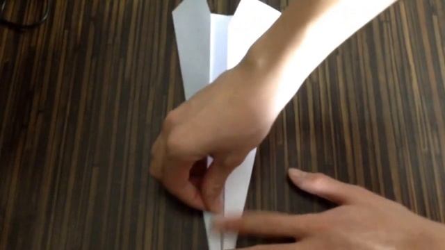 Сверхзвуковой пассажирский самолет -ТУ-144. Оригами.