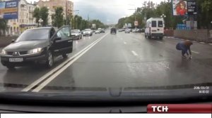 В Туле девушка спасла котенка от верной гибели под колесами автомобилей