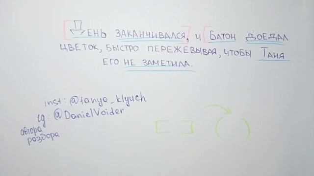 Разбор предложения из конспекта «Сложное предложение с разными видами связи»
