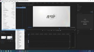 Импорт видео в проект (на секвенцию) под размер кадра Adobe Premiere