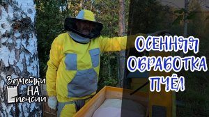 Осенняя обработка пчел от клеща  Варроа Бипином #пчелы #пасека #обработка