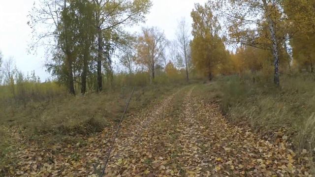 УЛЬТРАЛАЙТ в городской черте в октябре! Ловля на микроджиг с Arion 702ULS