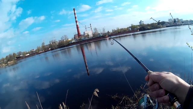 Ловля хищника на реке Муховец
