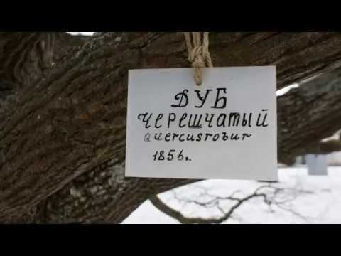 Ломоносов