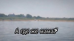 Поехали в Витязево на отдых. А там.. ??