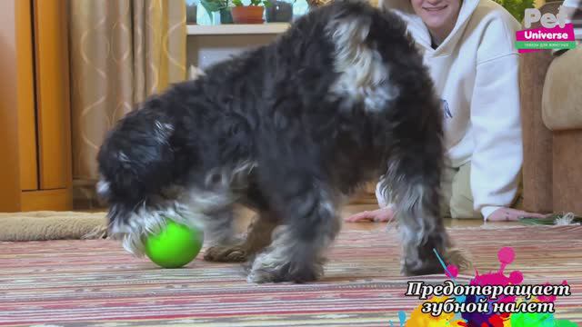 PU3036GN Игрушка для собак Pet Universe Люминесцентный мячик твёрдый светящийся в темноте, 9 см смотреть онлайн