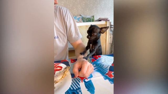 Один кусок, один кусочек, маленький. смотреть онлайн