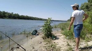 Рыбалка Дон  Качалинская Волгоградская область июнь 2020