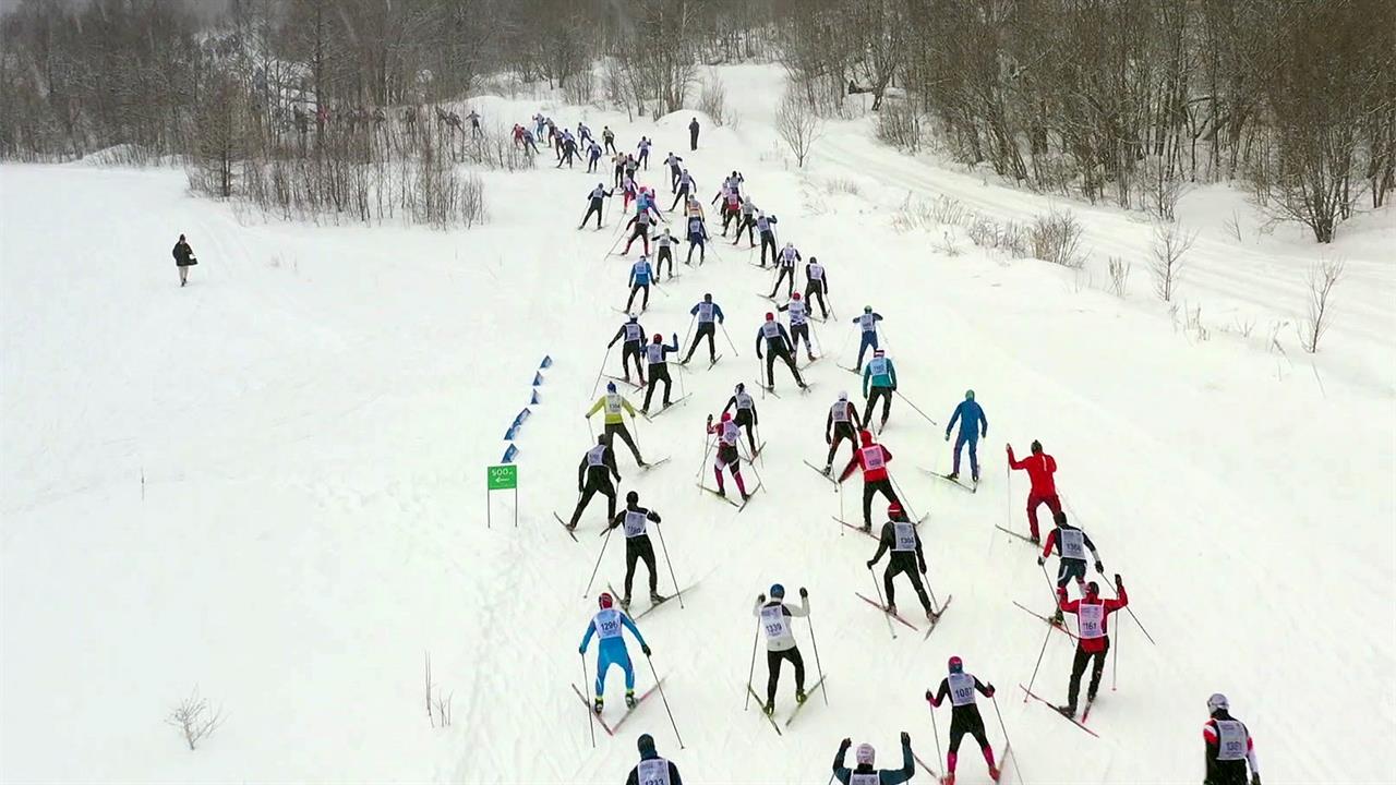 Всероссийская лыжная гонка "Лыжня России" собрала ...воих снежных трассах любителей и профессионалов