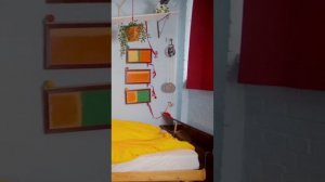 лучшие видео подбор приколов, смешное, выпуск 3.