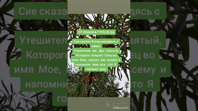 Дух Святый,Которого пошлет Отец во имя Мое научит вас всему и напомнит вам все,