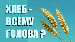 ХЛЕБ - ВСЕМУ ГОЛОВА !?! ▪ Происхождение пшеницы ▪ Скляров А.Ю.🌾Вавилов Н.И.