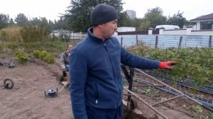 Плуг-скоба для выкопки саженцев винограда (часть 3) Демонстрация работы