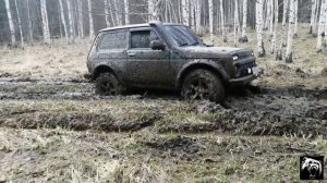 Нива едет. Offroad на Comforser Thruster 31/10,5/16.