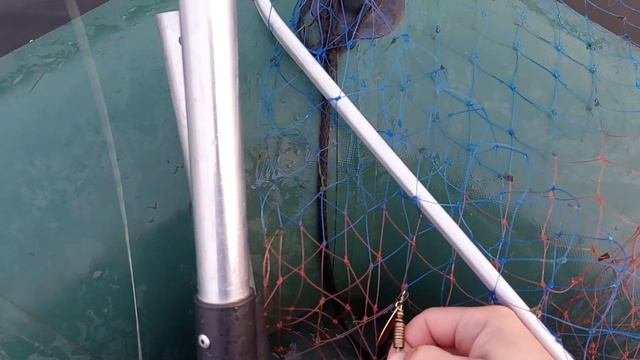 #РЫБАЛОЧКА