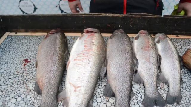 Три Пескаря ! смотреть онлайн