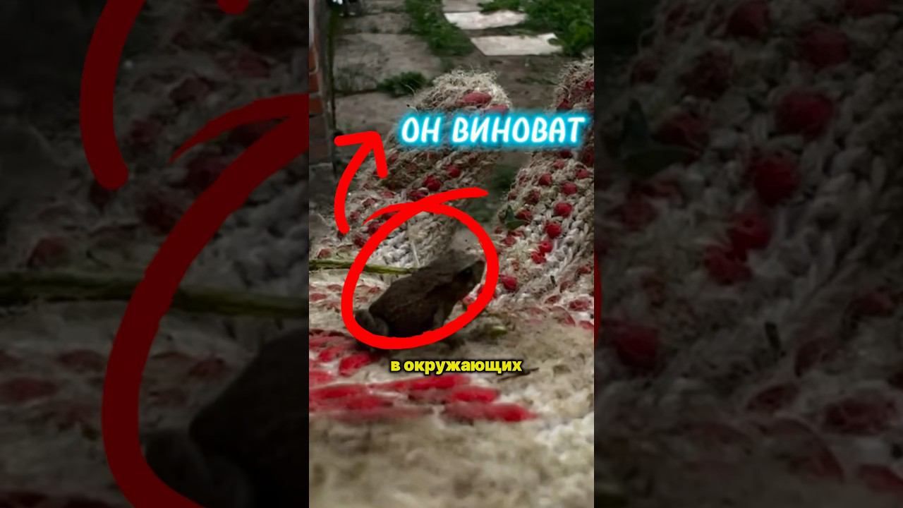 ✅ Будь СОБОЙ. Выбирай СЕБЯ. Как найти себя? #какнайтисебявжизни #какнайтисебя #психология