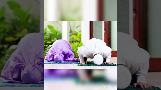 correct Way of Sujood in Namaz . Learn basics of Islam .