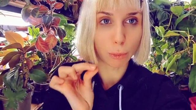 Вода для полива растений. Какой она должна быть? Правила полива смотреть онлайн