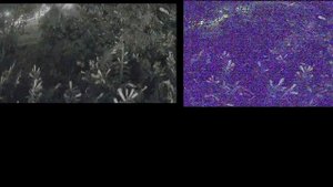 ☀ Почти лучшая FPV камера. Почти. Обзор и сравнение с Eagle, Falkor [Foxeer Cat]