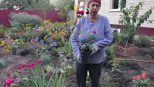 Встречаем гостей. Шикарный вазон своими руками. Доделываем сушилку. смотреть онлайн