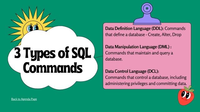 SQL Basics for Learners | Learn SQL | SQL Tutorial for Beginners | Team Highlight Zone