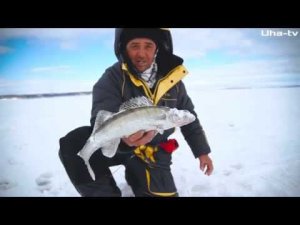 Ловля судака на раттлины. Ответы на вопросы часть 2. Андрей Ферафонтов