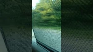 Поездка на микроавтобусе на море