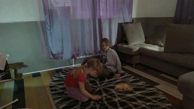 йога челлендж + щекотка // чуть не лопнули со смеху смотреть онлайн