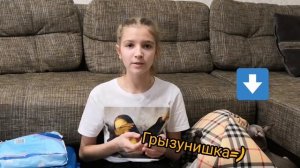 Как приучить щенка к пелёнке? Щенок в 3 месяца ходит на пеленку.