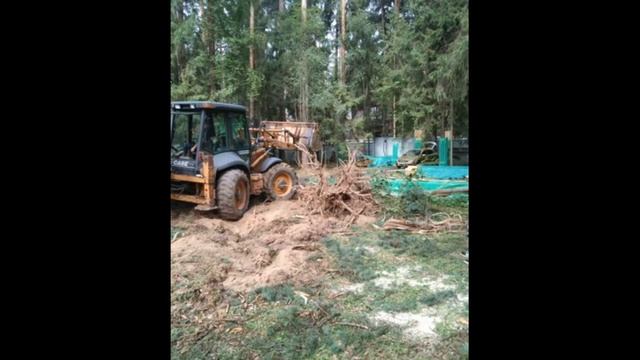 Удаление дерева любой сложности, очистка крыши от снега в Одинцово. 8 (925) 188-82-84 Руслан смотреть онлайн