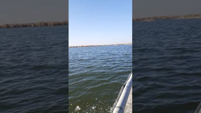 Рыбалка Алаколь смотреть онлайн