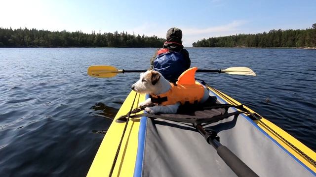 #8 Безымянный остров | Беломорские странствия 2022 смотреть онлайн