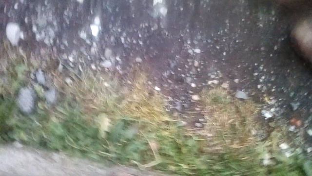 Со мной Алиса происходит какая-то дичь мы видим всяких ⁿ пришельцы 2 часть смотреть онлайн