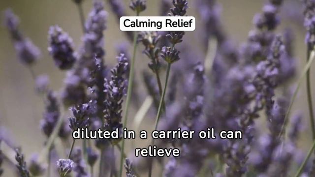 How To Treat Burn Skin | How To Treat Burn Skin Home Remedy | Skin Burn Treatment смотреть онлайн