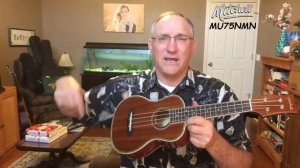 Mitchell MU-75NM/N Concert Ukulele Review