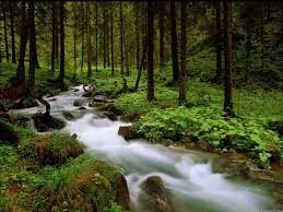 страна ручейков (инстр.)