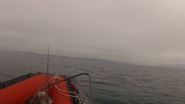 ARL 390 смотреть онлайн