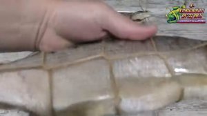Горячее-копчение-рыбы-секреты-тонкости-и_213.mp4