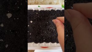 Душистый табак сеем на рассаду 2022