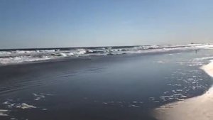 Галина Смит делилась своими похождениями с дочерью. Критикует Любовь Рид. Обгадила Флориду. Фалькон