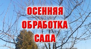 1 ноября.  Осенняя обработка сада.mp4