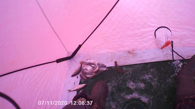 Первый лед, Сибирь. Клюёт окунь и сорога. смотреть онлайн