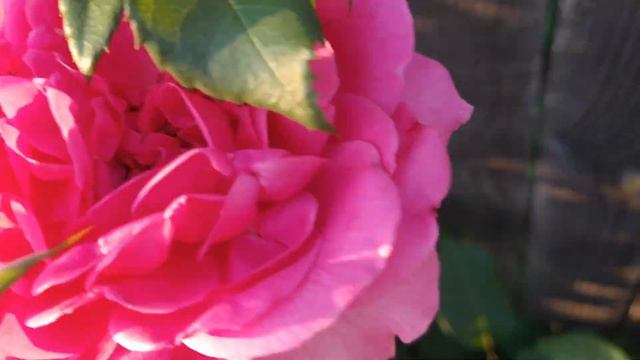 ПОЕЗДКА НА РЫБАЛКУ, ЛЕПИМ БУРЯТСКИЕ БУУЗЫ (МАНТЫ) - СЕЛО НЕБЫЛОЕ [ИЮНЬ 2022] смотреть онлайн